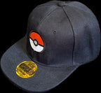 Jockey de la Pokebola de Pokemon - amplitudmodulada