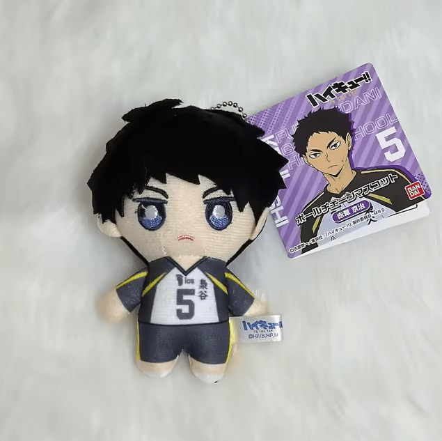llavero haikyuu akaashi keiji - amplitudmodulada