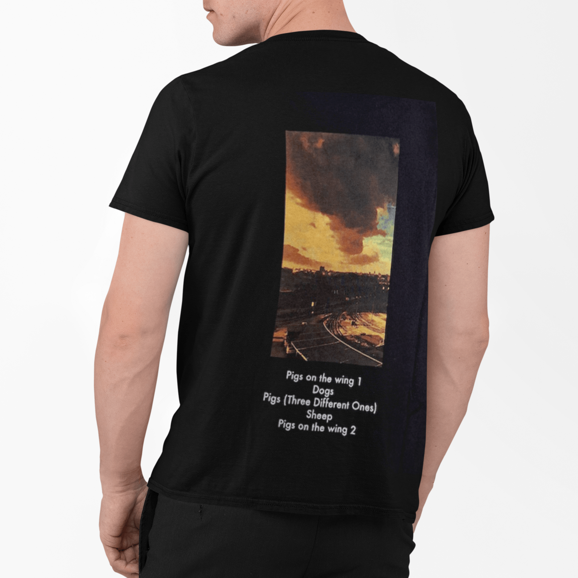 Polera Pink Floyd Animals - amplitudmodulada